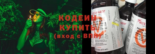 ПСИЛОЦИБИНОВЫЕ ГРИБЫ Вязники