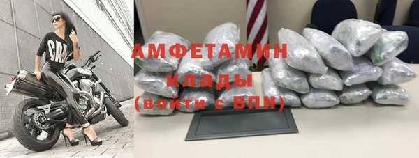 гашик Вяземский