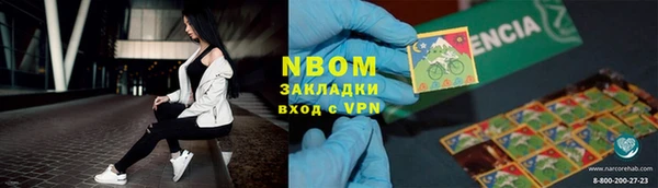 ПСИЛОЦИБИНОВЫЕ ГРИБЫ Вязники