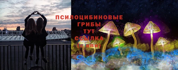 героин Горняк