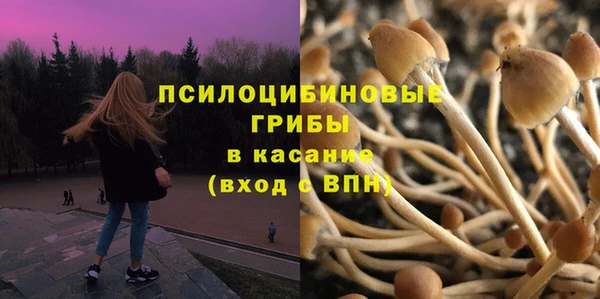 a pvp Верхний Тагил