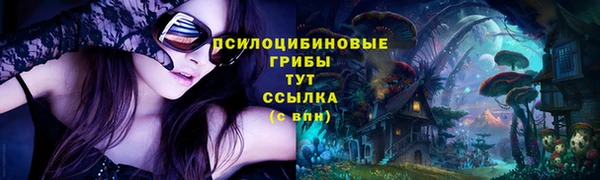 гидра Верея